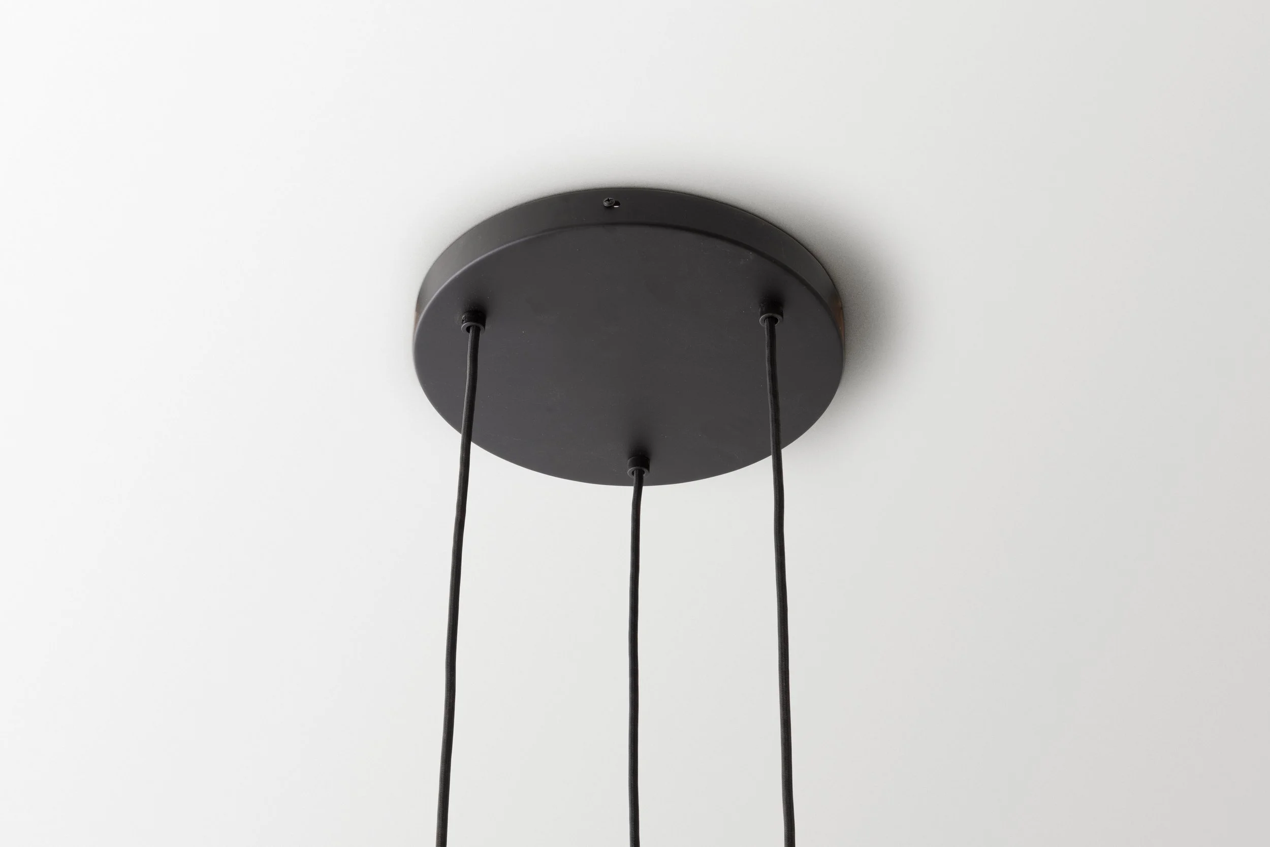 Triple Ostrich Cluster - Canopy Plate.jpg