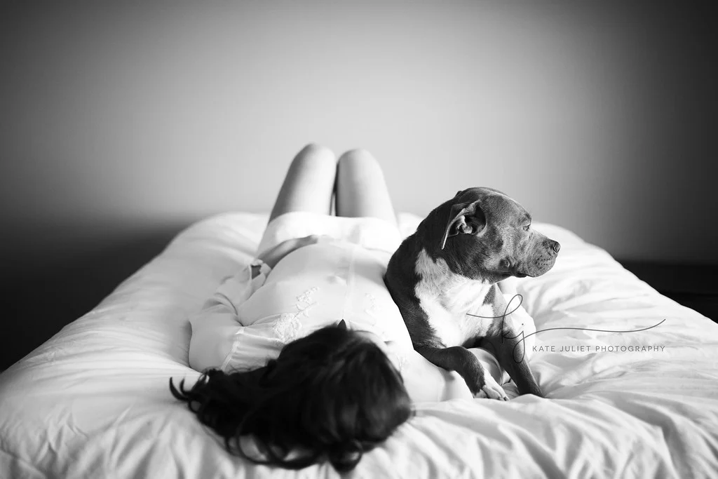 Purcellville Loudoun County VA Maternity-Pregnancy Pit bull-Dog At-Home Photographer | Kate Juliet Photography