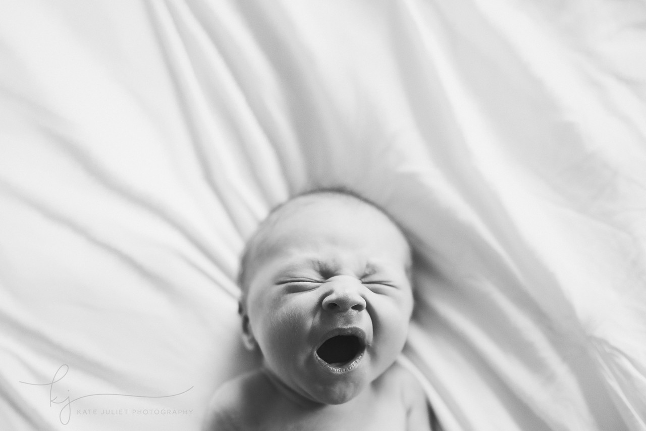 Fairfax VA Newborn Baby Girl Photographer | Kate Juliet Photography