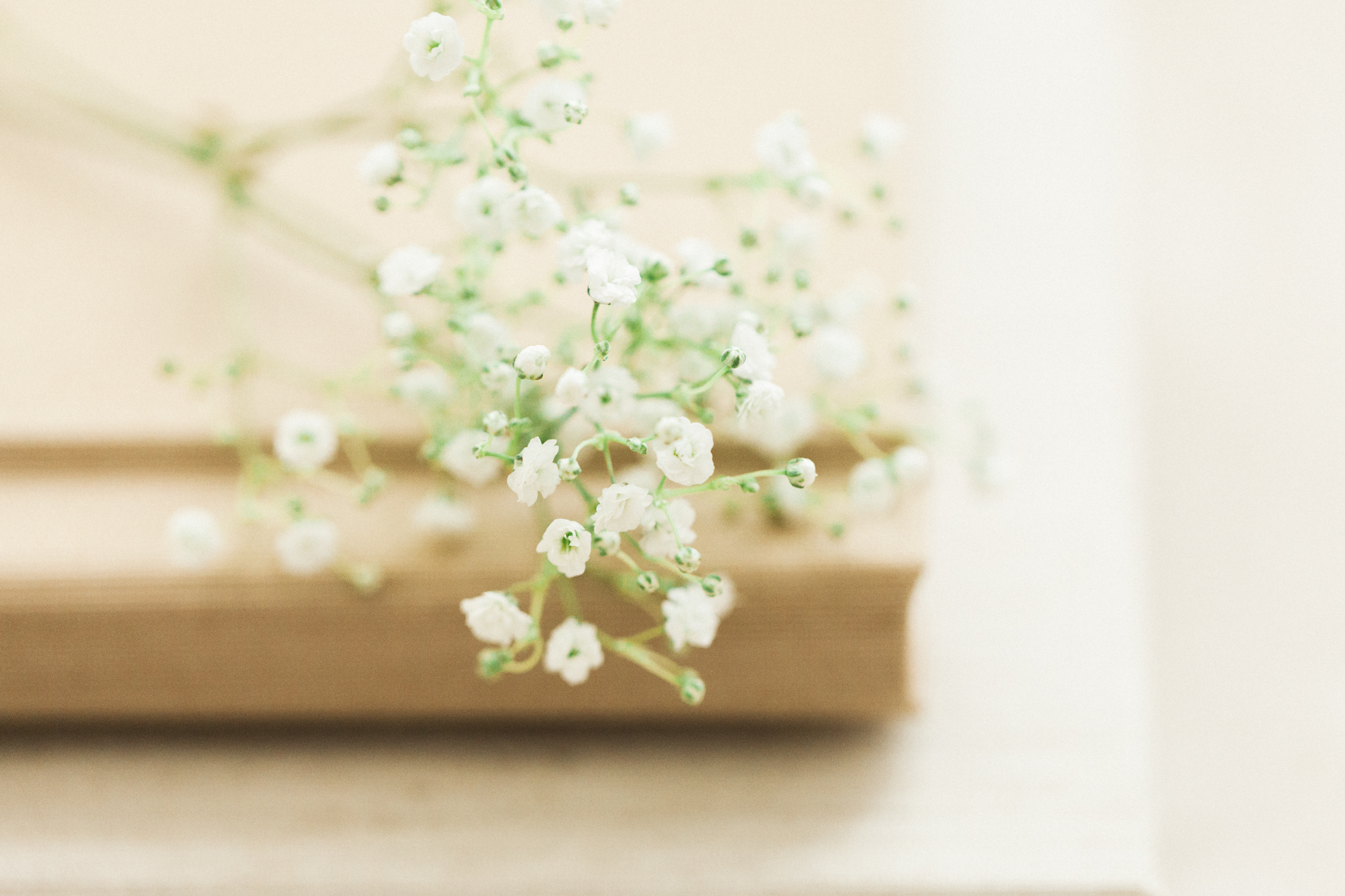 Luxury Heirloom Photography Products | Washington DC Newborn Baby Photographer