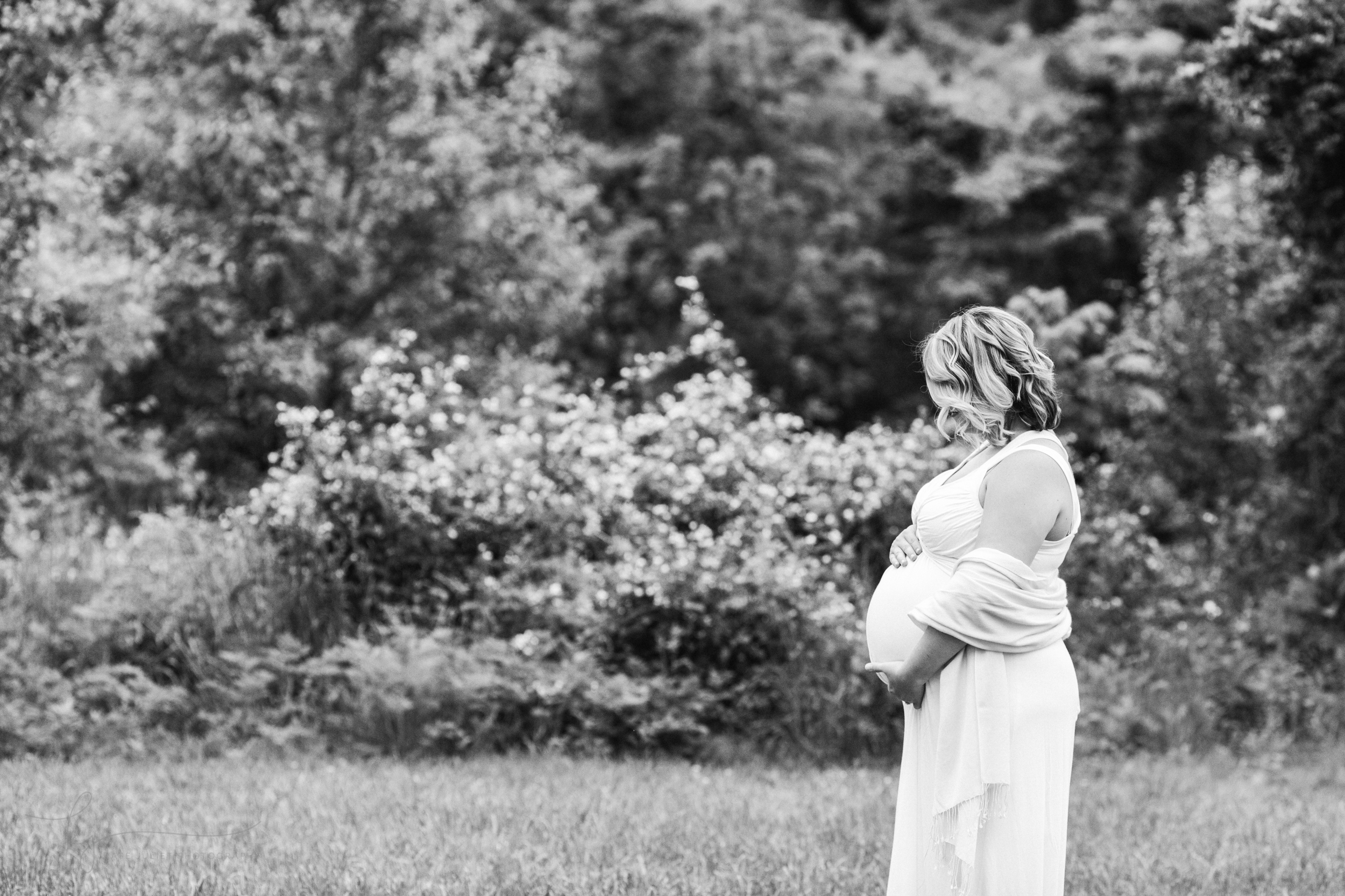 Springfield VA Newborn and Maternity Photographer | Kate Juliet Photography