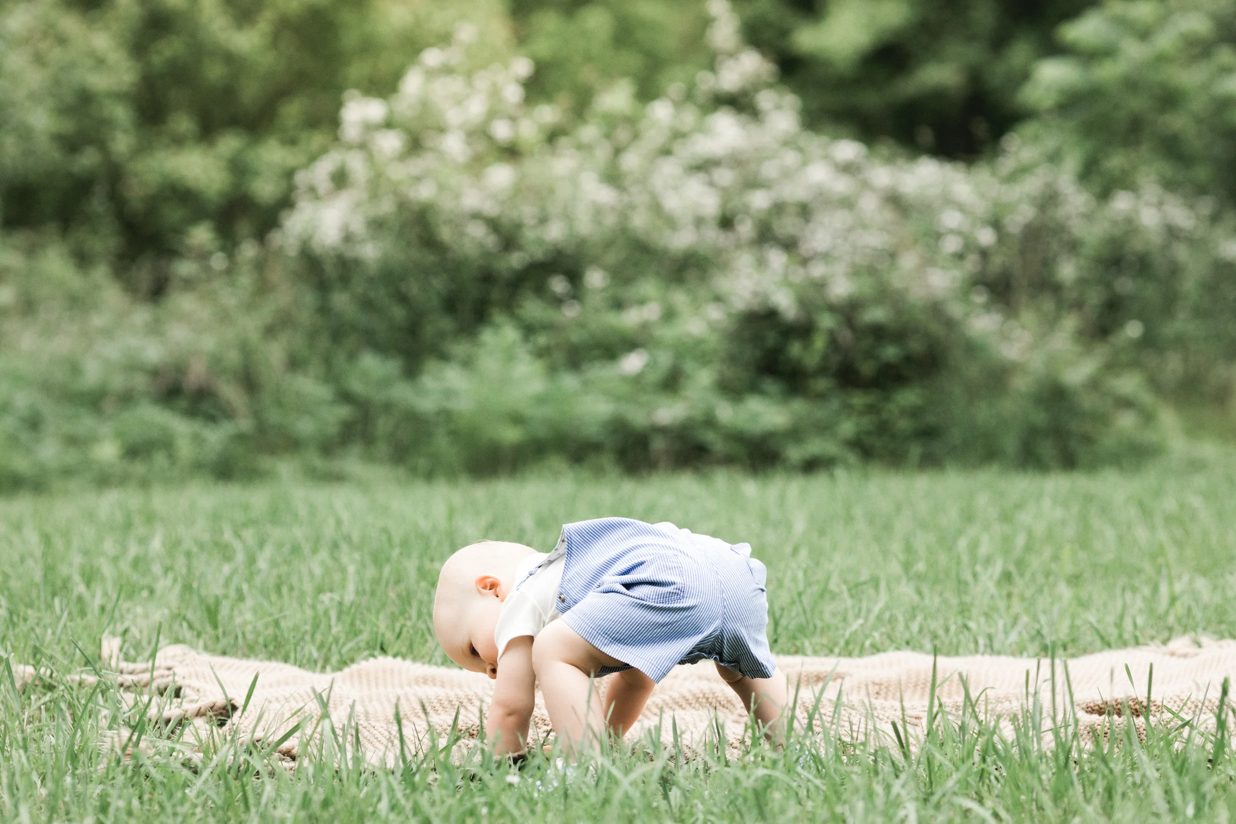 Washington DC Family Photographer | Kate Juliet Photography