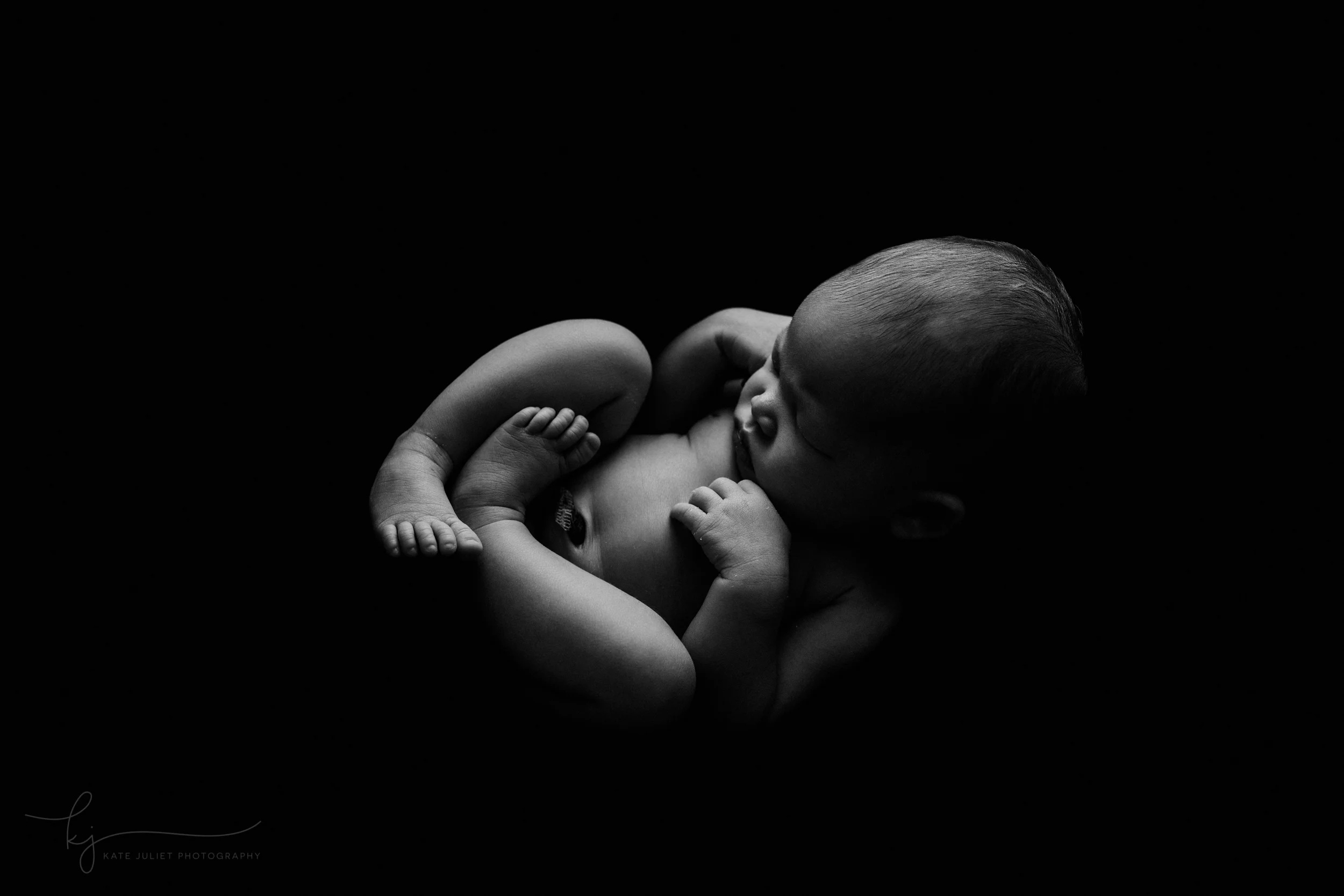 Washington DC Newborn Baby Photographer | Kate Juliet Photography