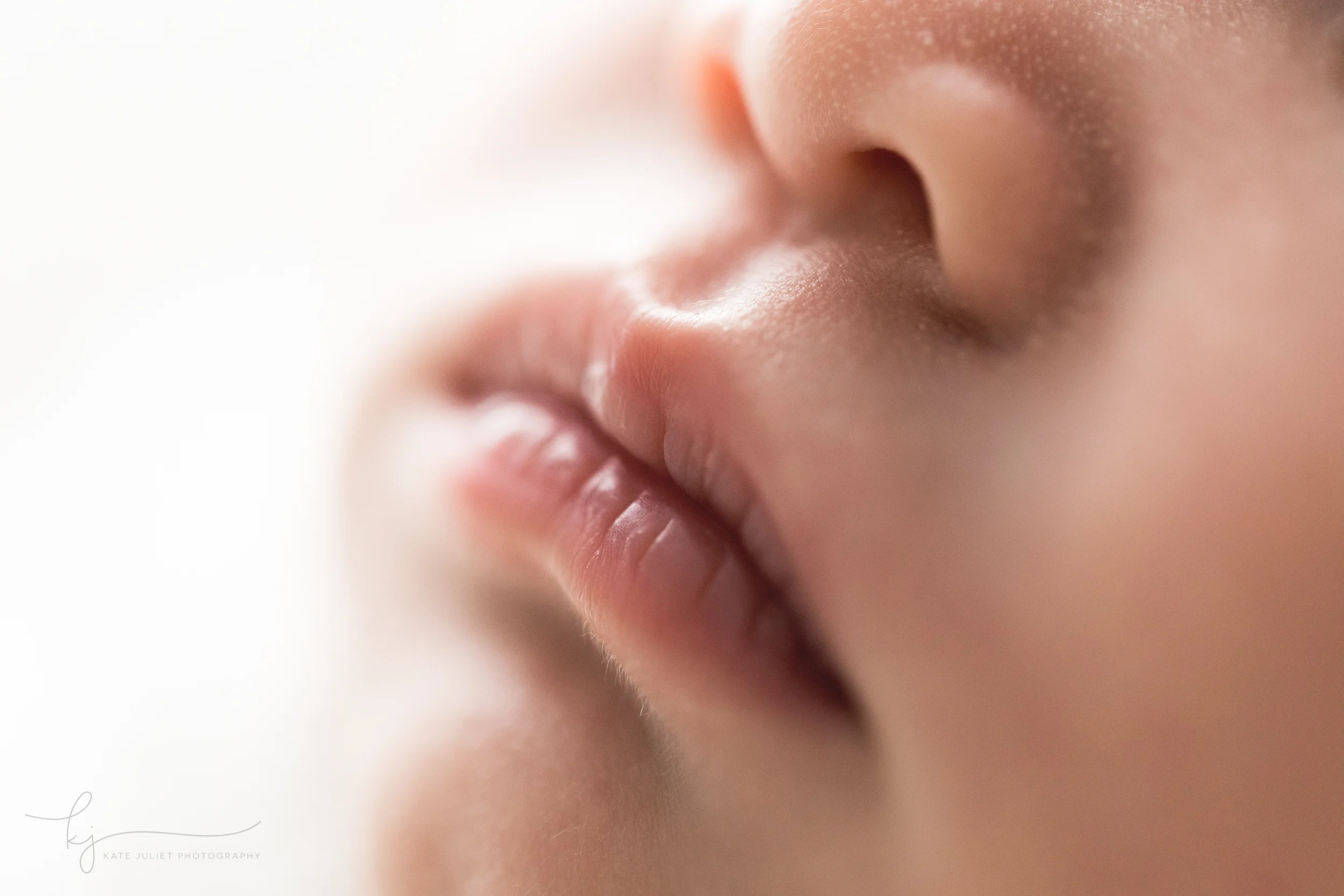 Washington DC Newborn Baby Photographer | Kate Juliet Photography