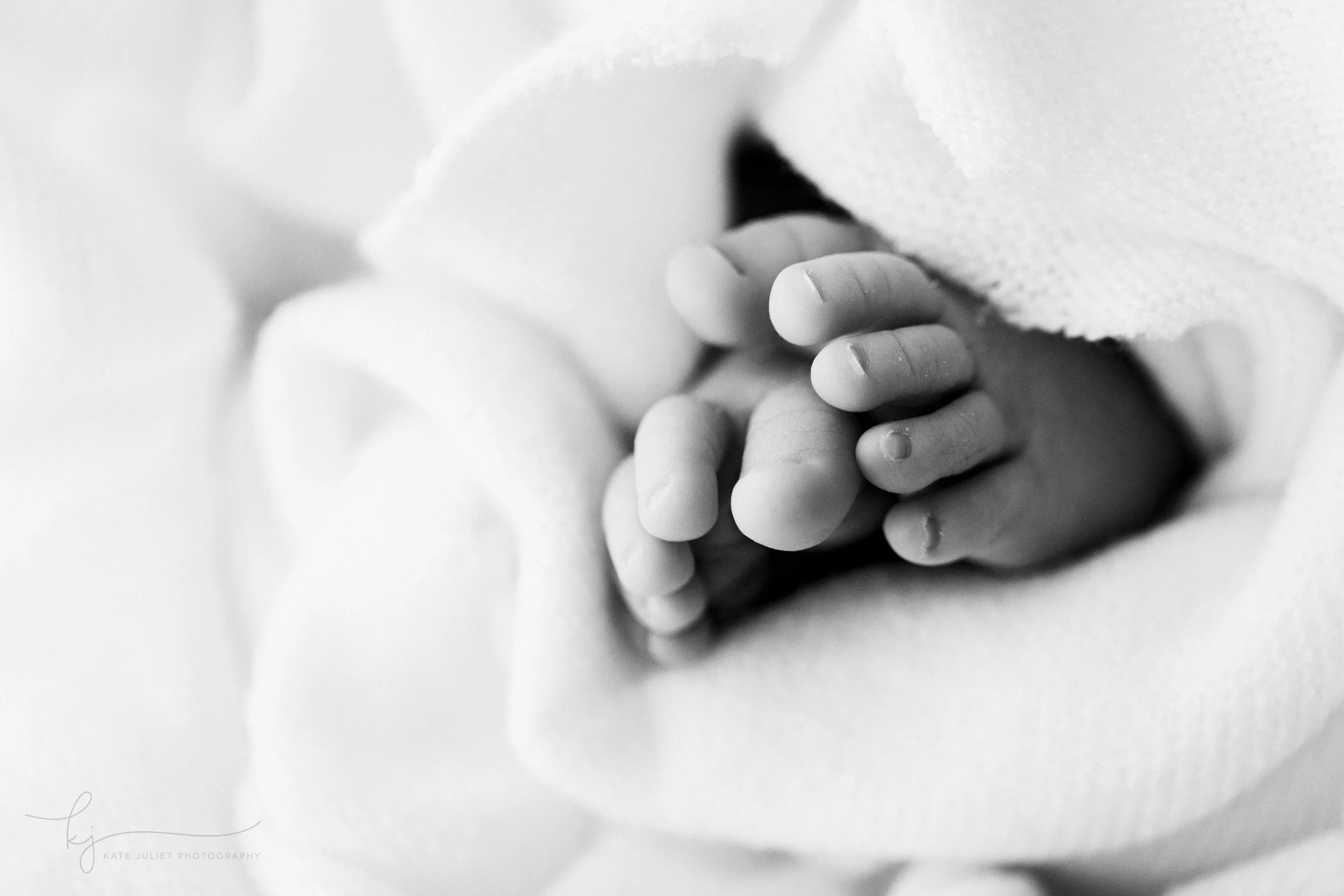 Reston VA Newborn Baby Photographer | Kate Juliet Photography