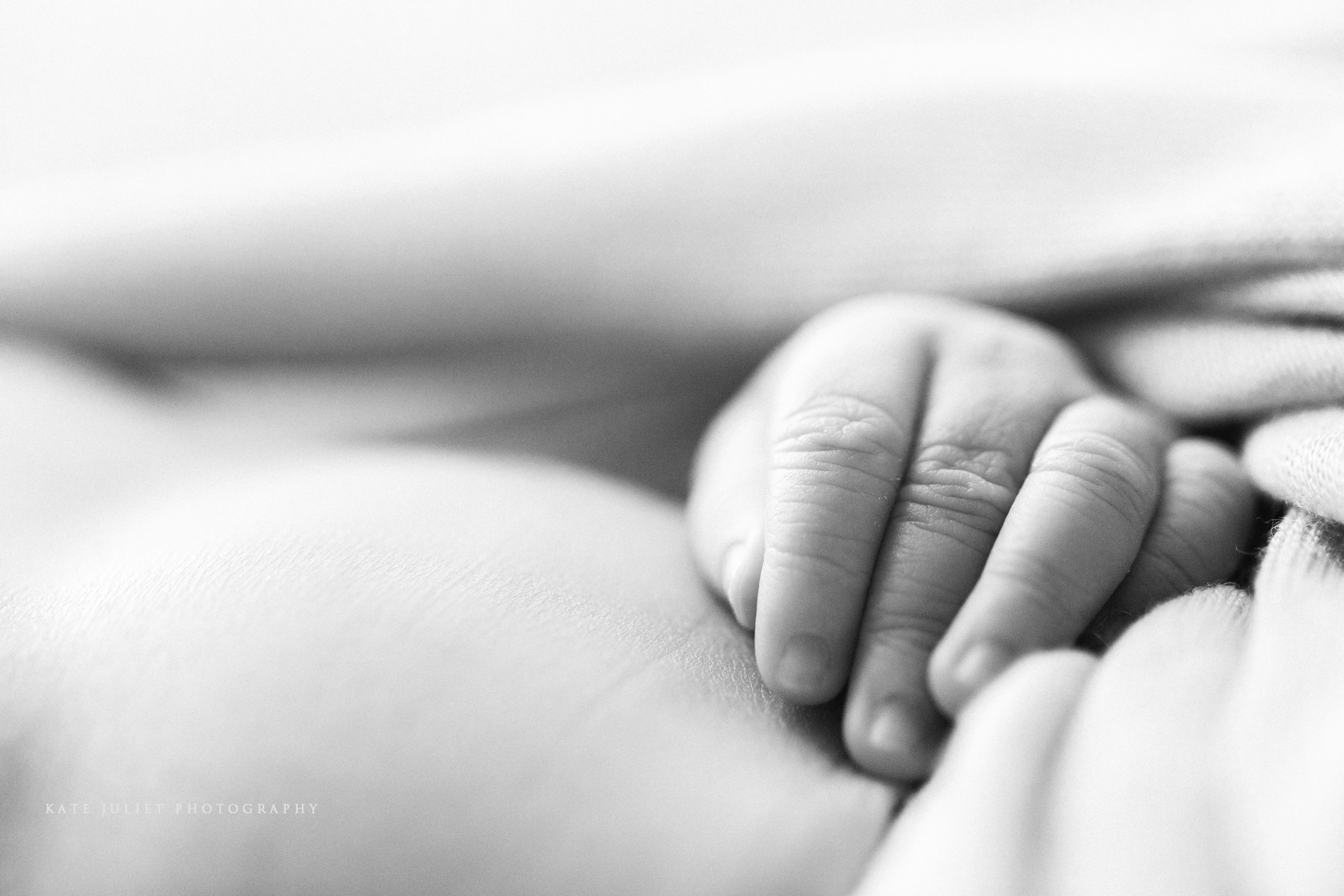 Northern VA Newborn Photographer | Kate Juliet Photography