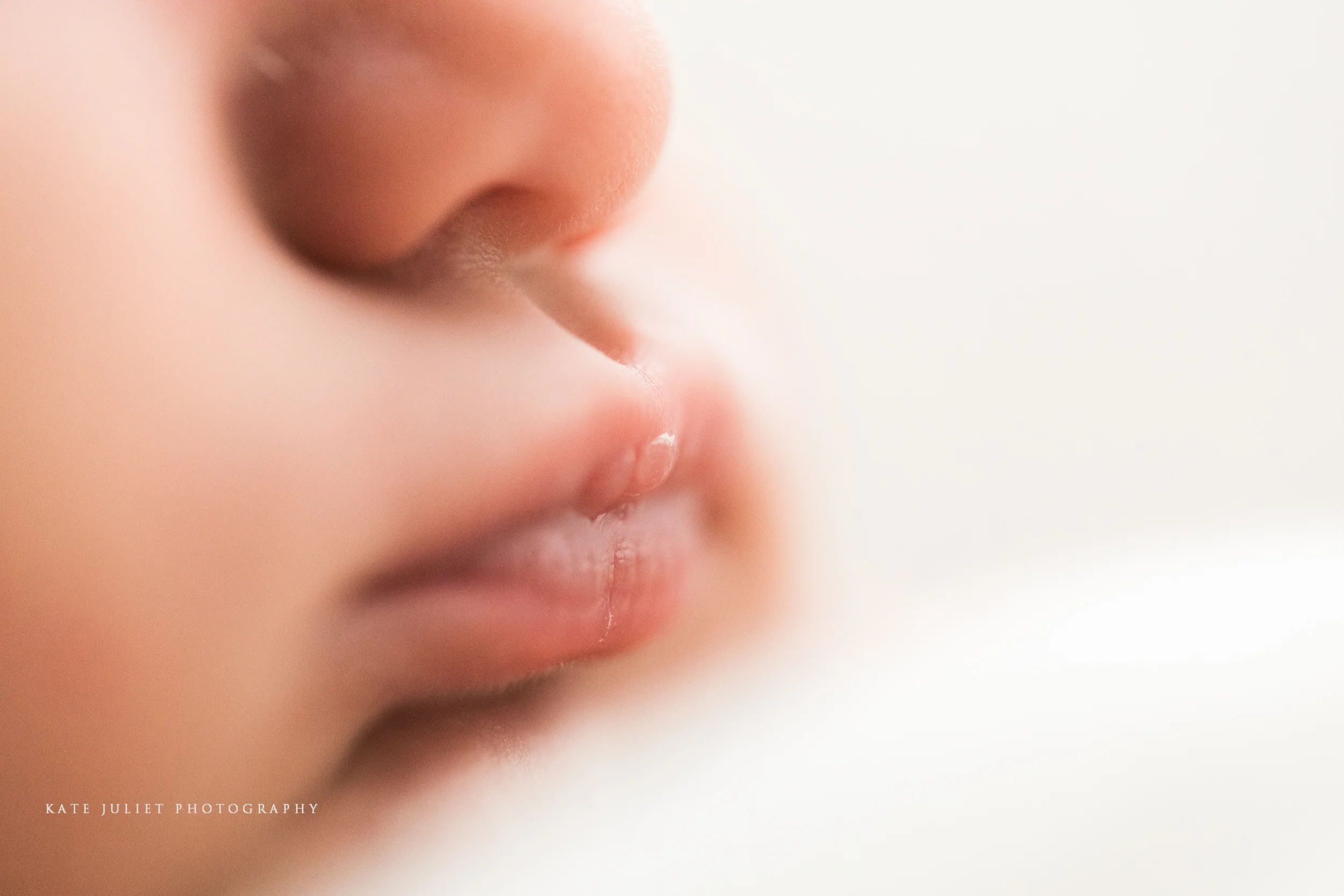 Washington DC Newborn Baby Photographer | Kate Juliet Photography