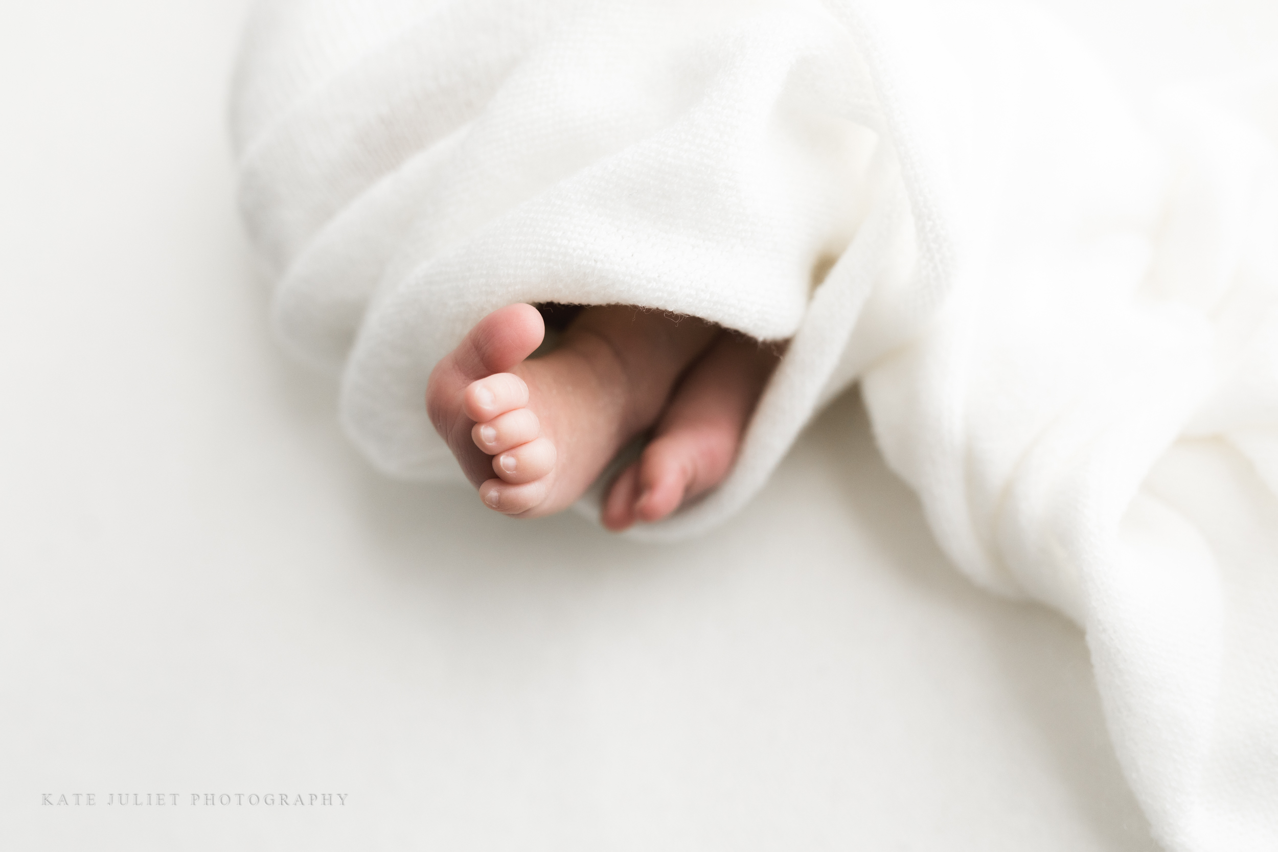 Vienna VA Newborn Photographer | Kate Juliet Photography