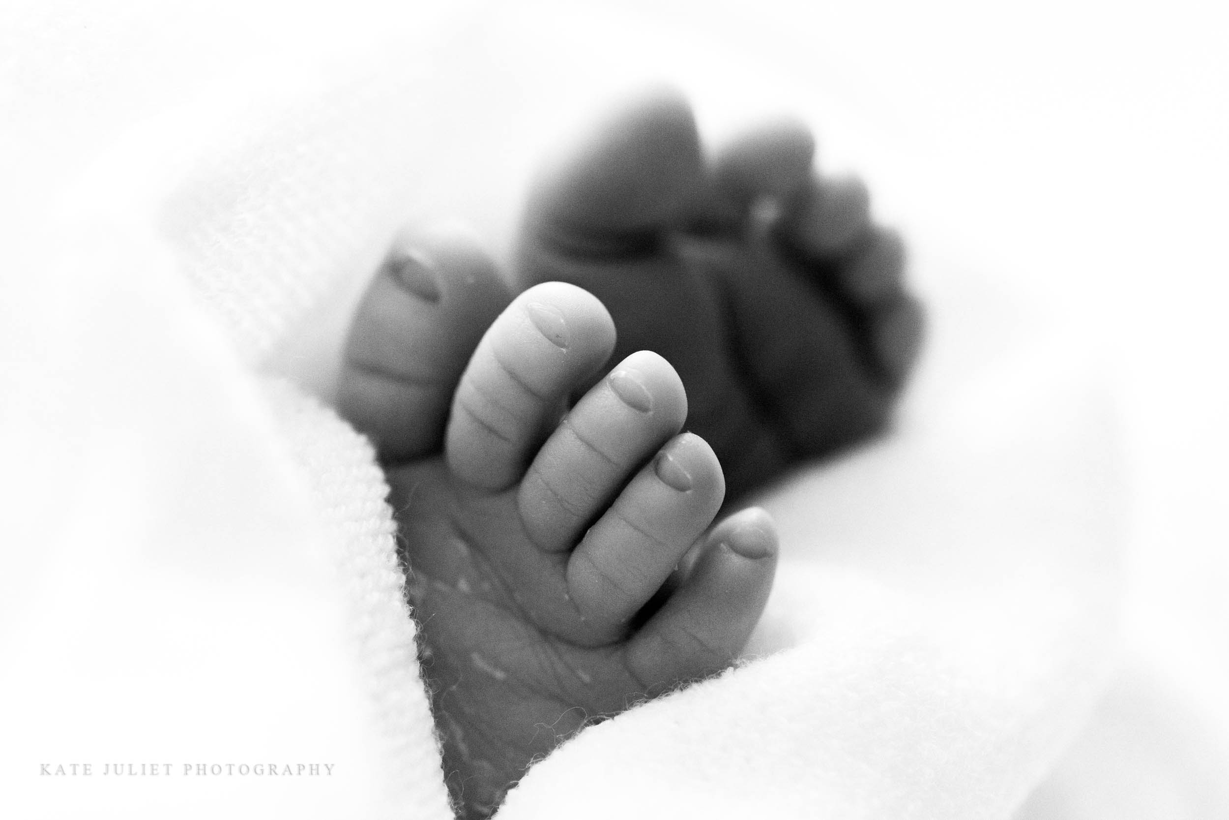 Fairfax County VA Newborn Baby Photographer | Kate Juliet Photography