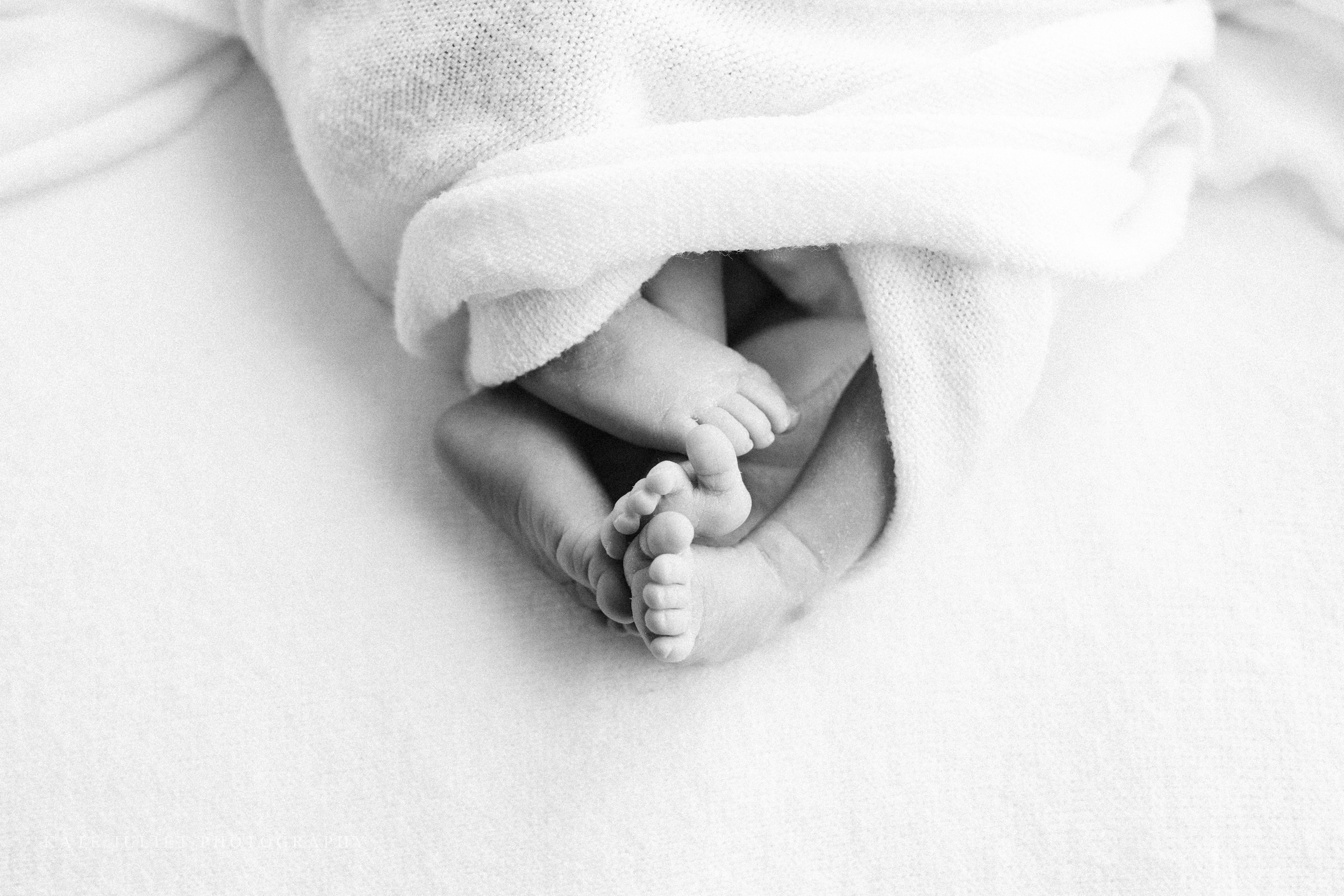 Northern VA Twin Babies Photographer | Kate Juliet Photography