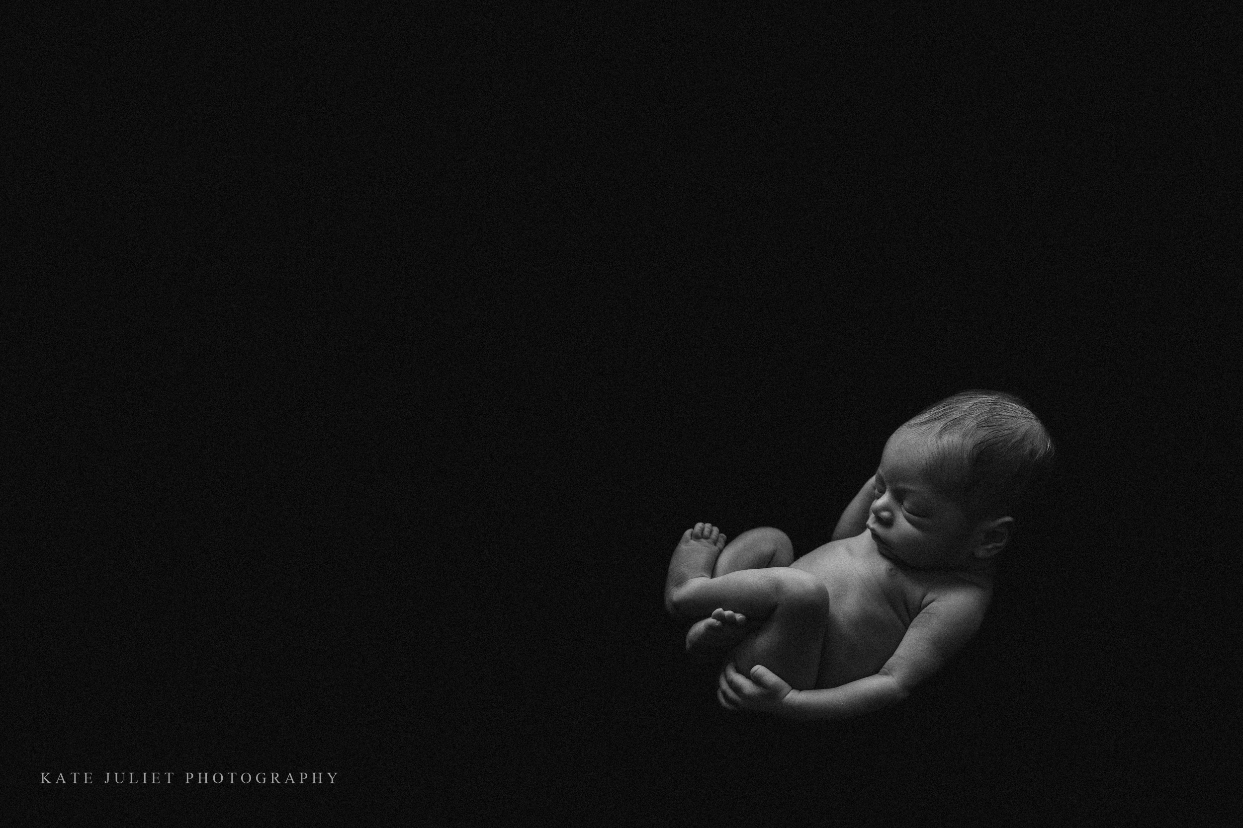 Vienna VA Newborn Photographer | Kate Juliet Photography