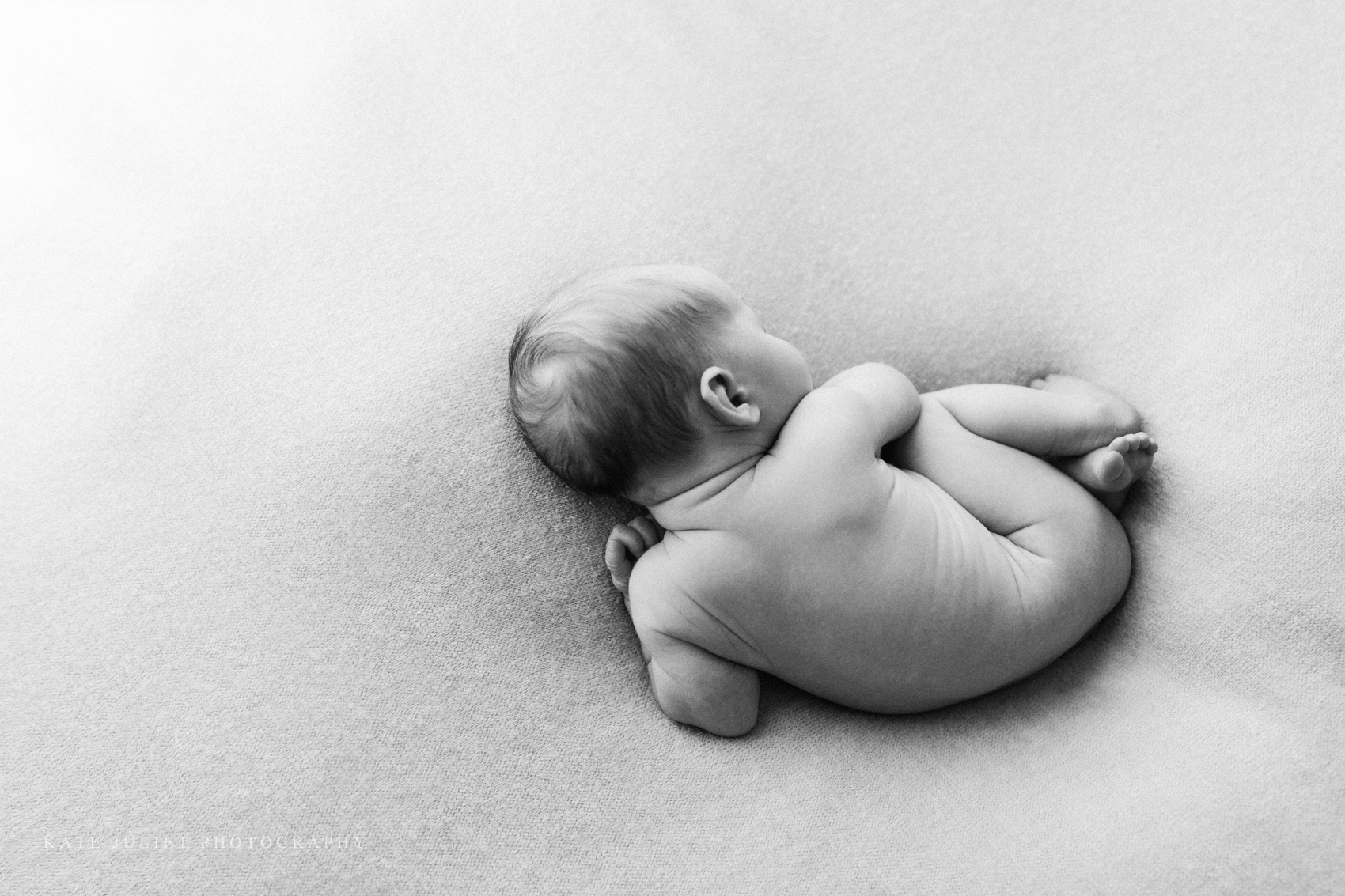 Baby Girl Newborn Photo Session | Kate Juliet Photography