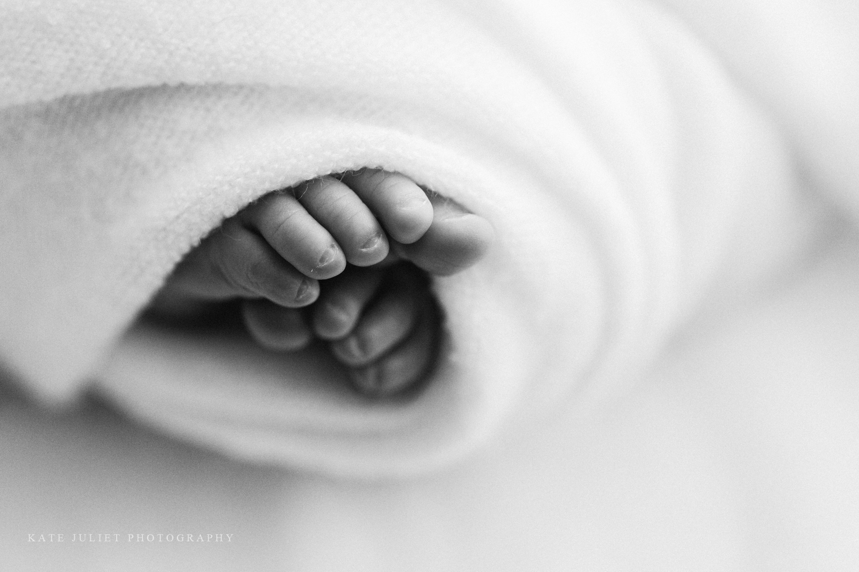 Baby Girl Newborn Photo Session | Kate Juliet Photography
