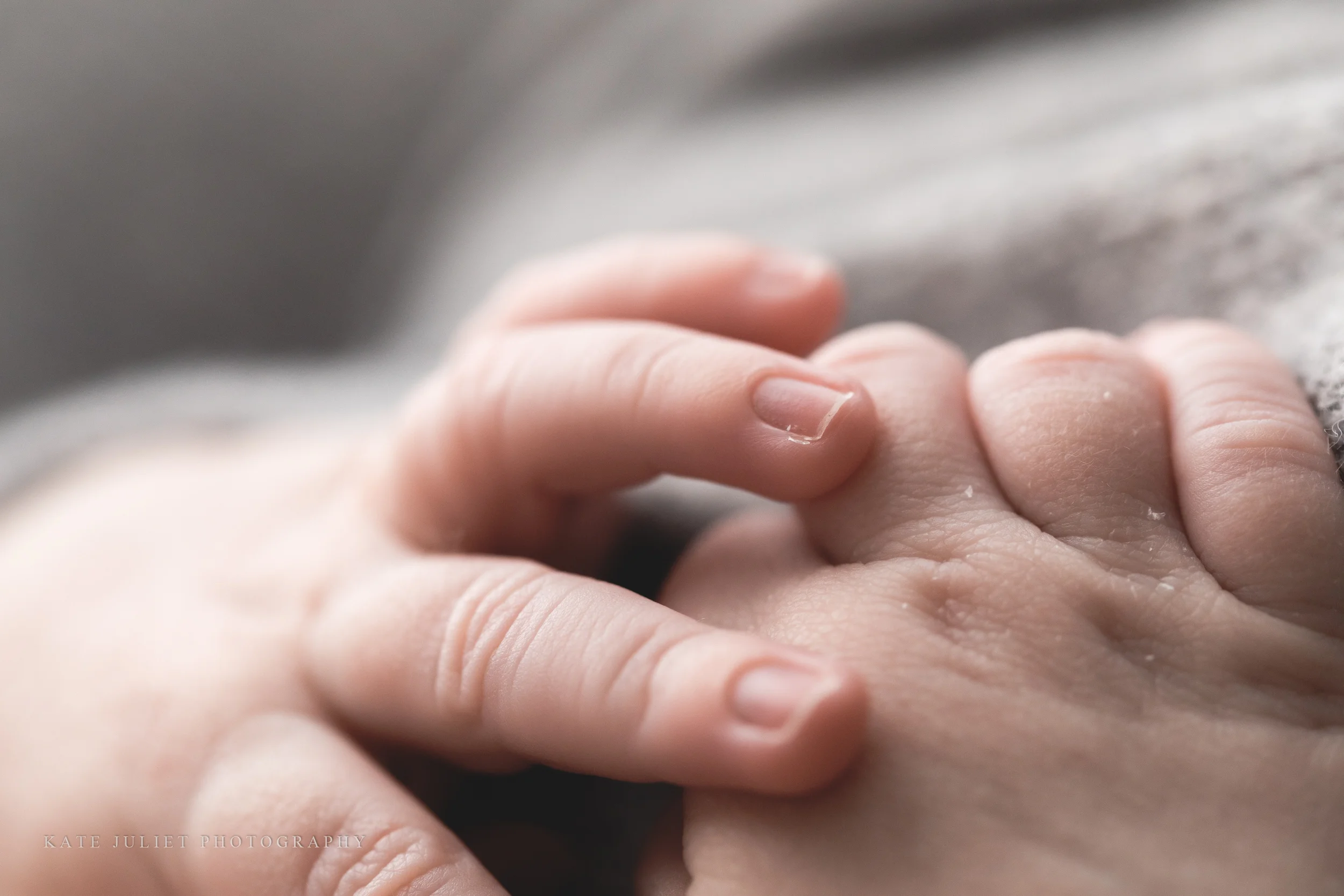 kate juliet photography - newborn - web-85.jpg