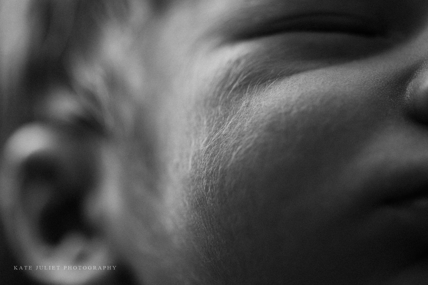 Washington DC Newborn Baby Photographer | Kate Juliet Photography