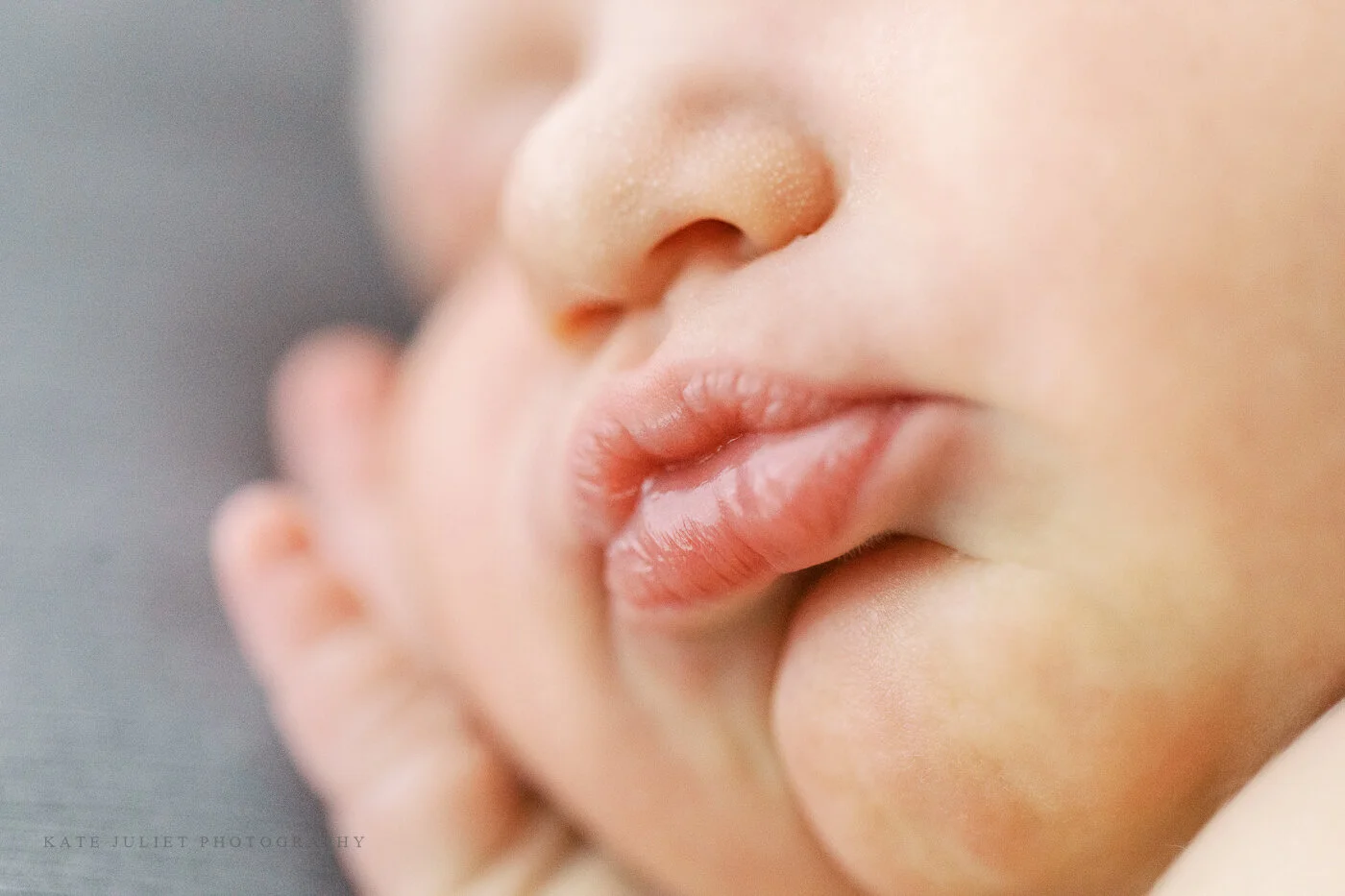 kate-juliet-photography-newborn-web-123.jpg