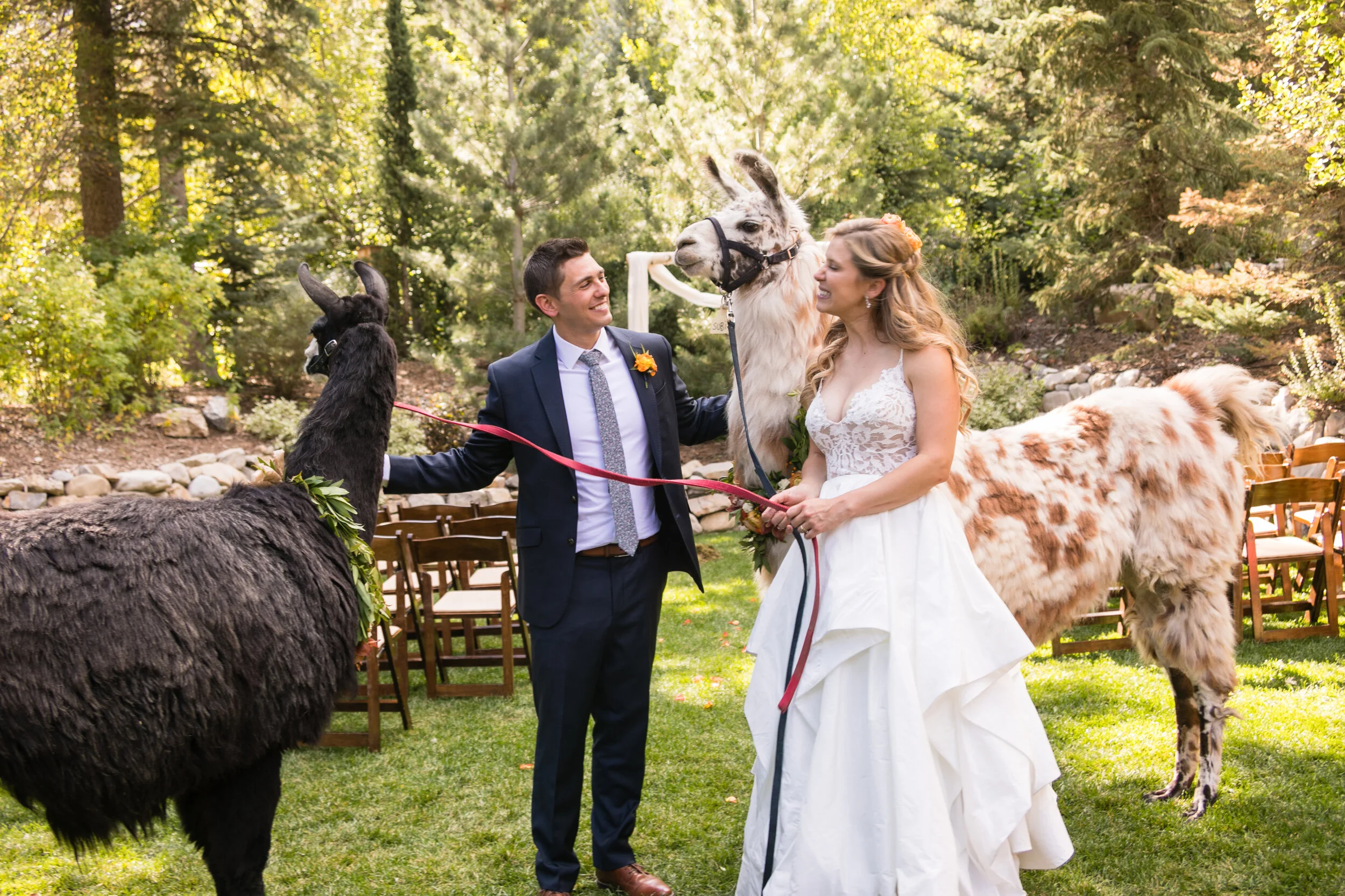 sparklephoto.com-amy+nick-1772.jpg