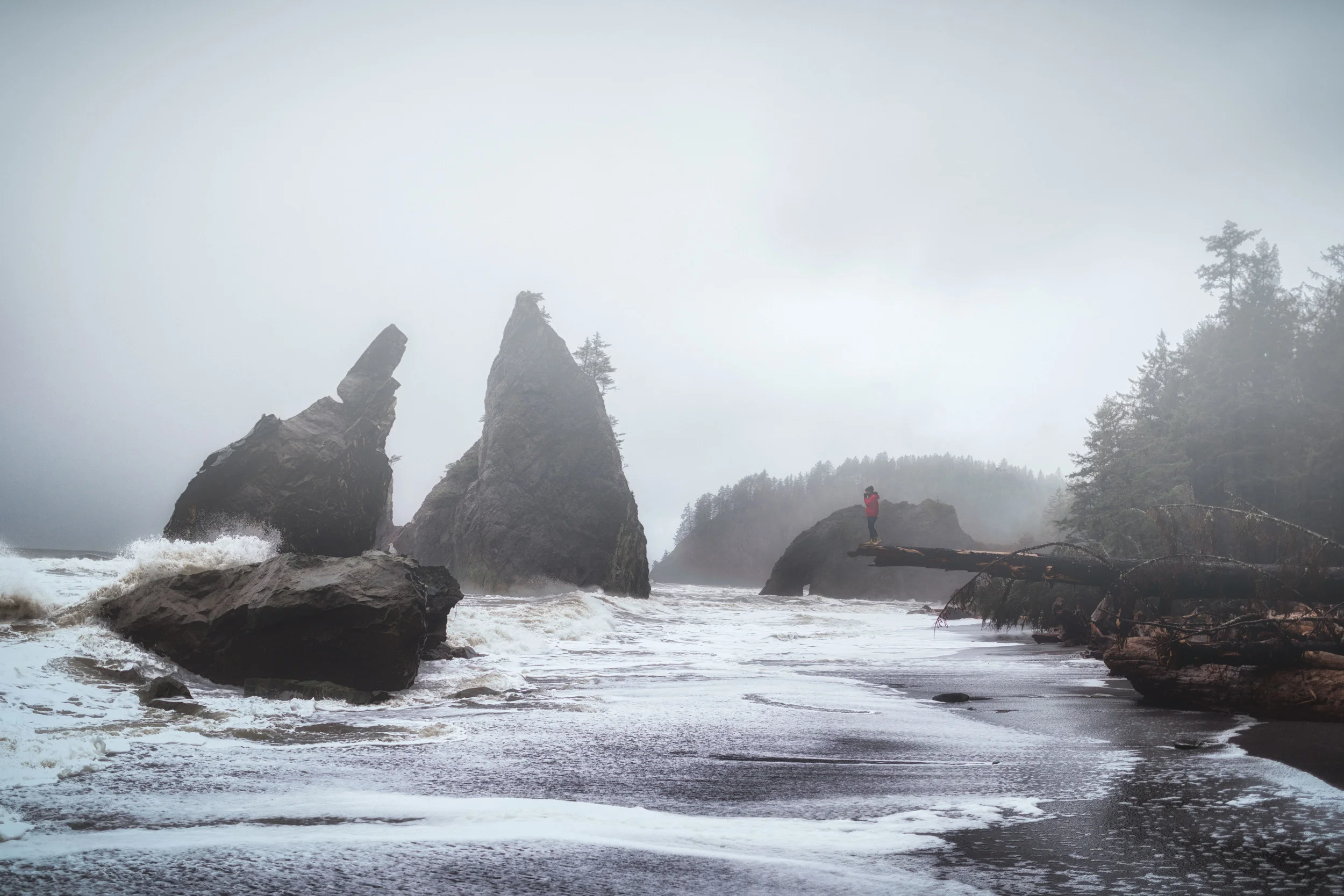JSN_5410-Edit-Edit-2.jpg