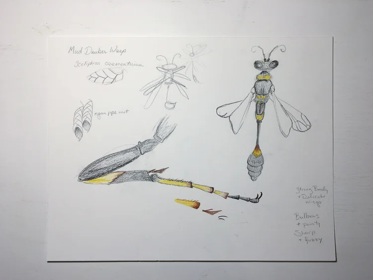 wasp sketch 1 b.jpg