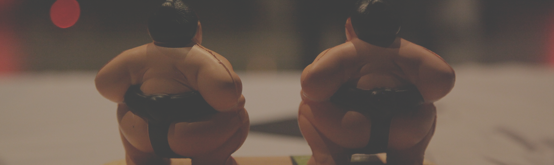 NEW Sumo Banner 2019.png