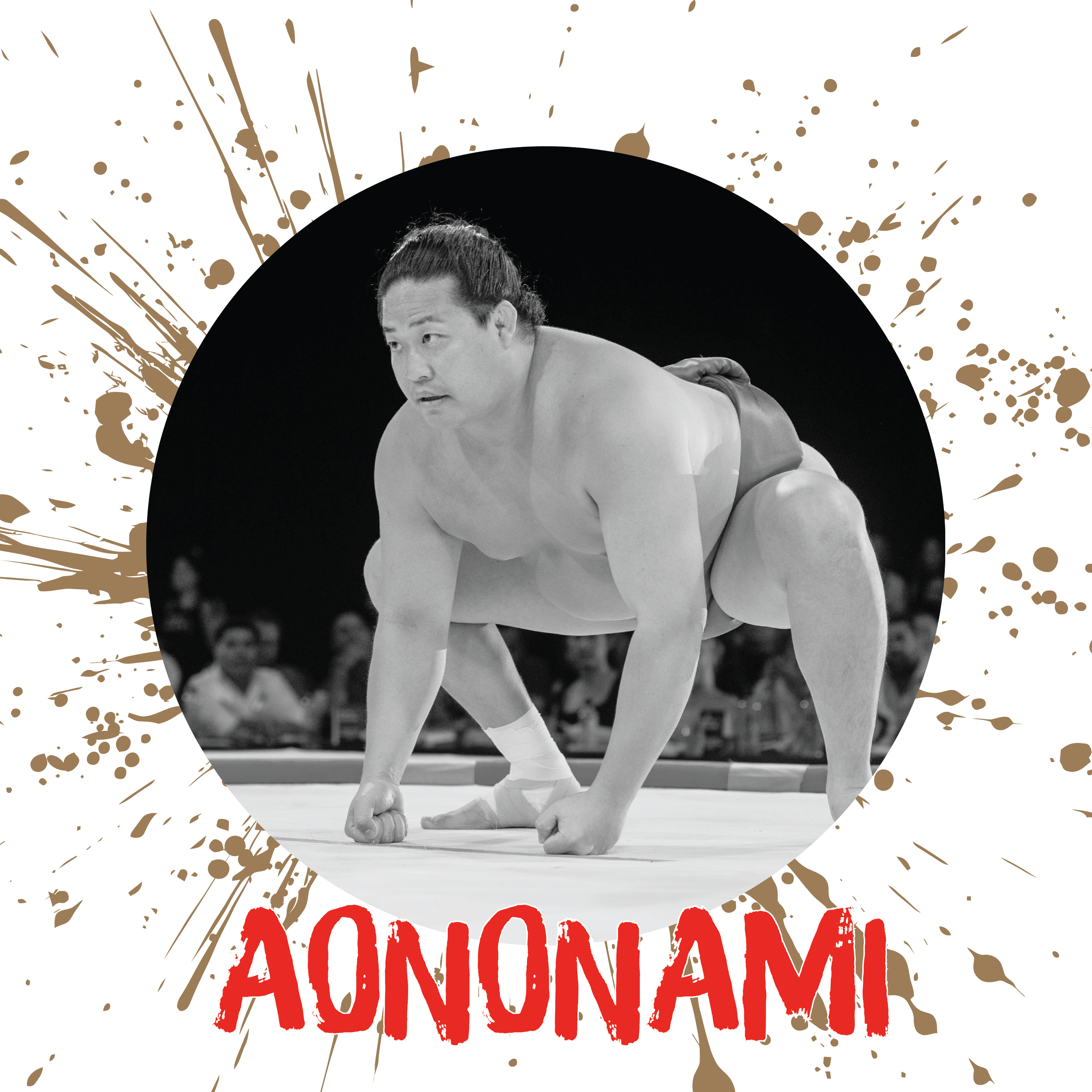  5'8”  |  242 lbs  |  Pro Sumo 3 Years  Highest Rank : Jyonidan 94 