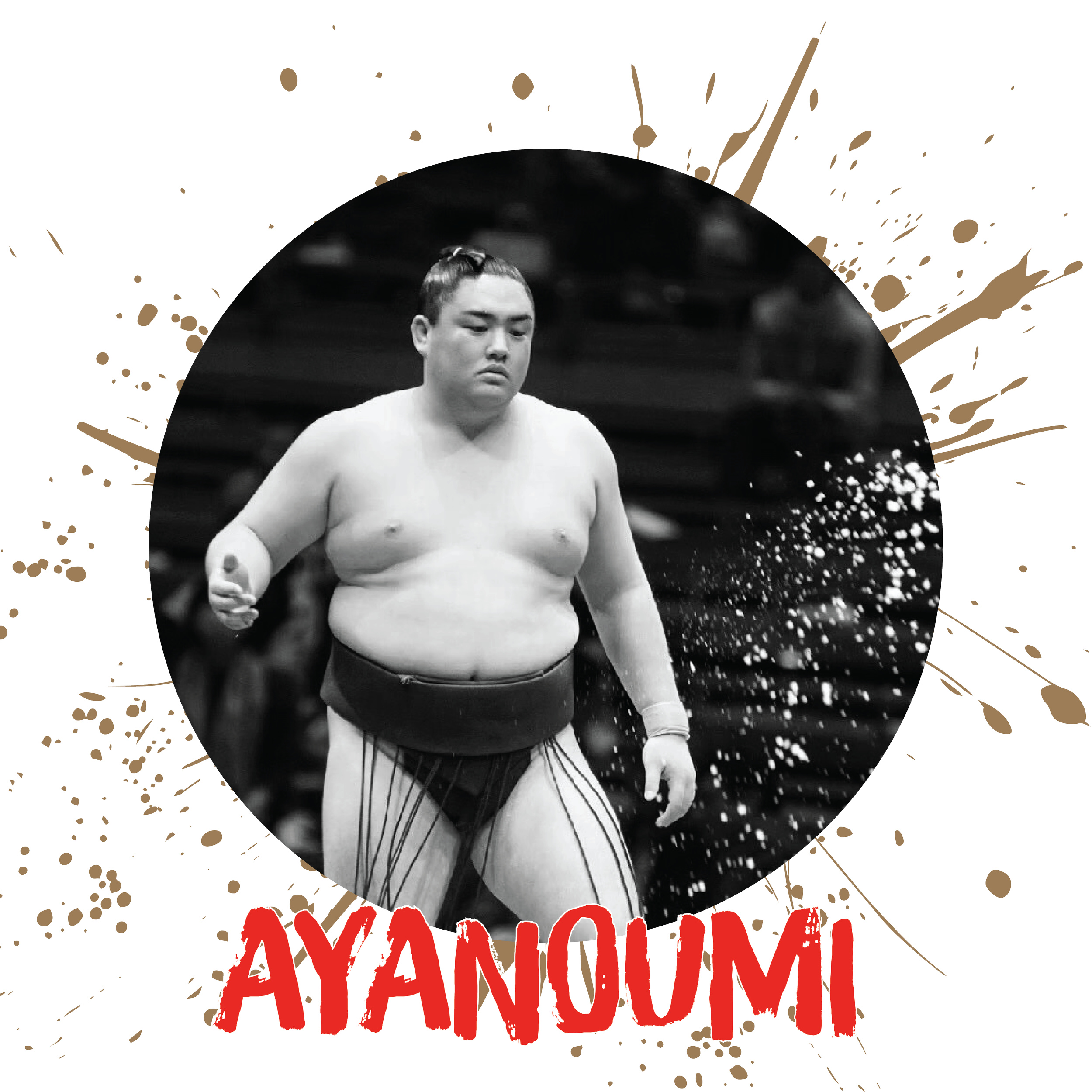  5'6”  |  253 lbs  |  Pro Sumo 14.5 Years  Highest Rank : Makushita 14 