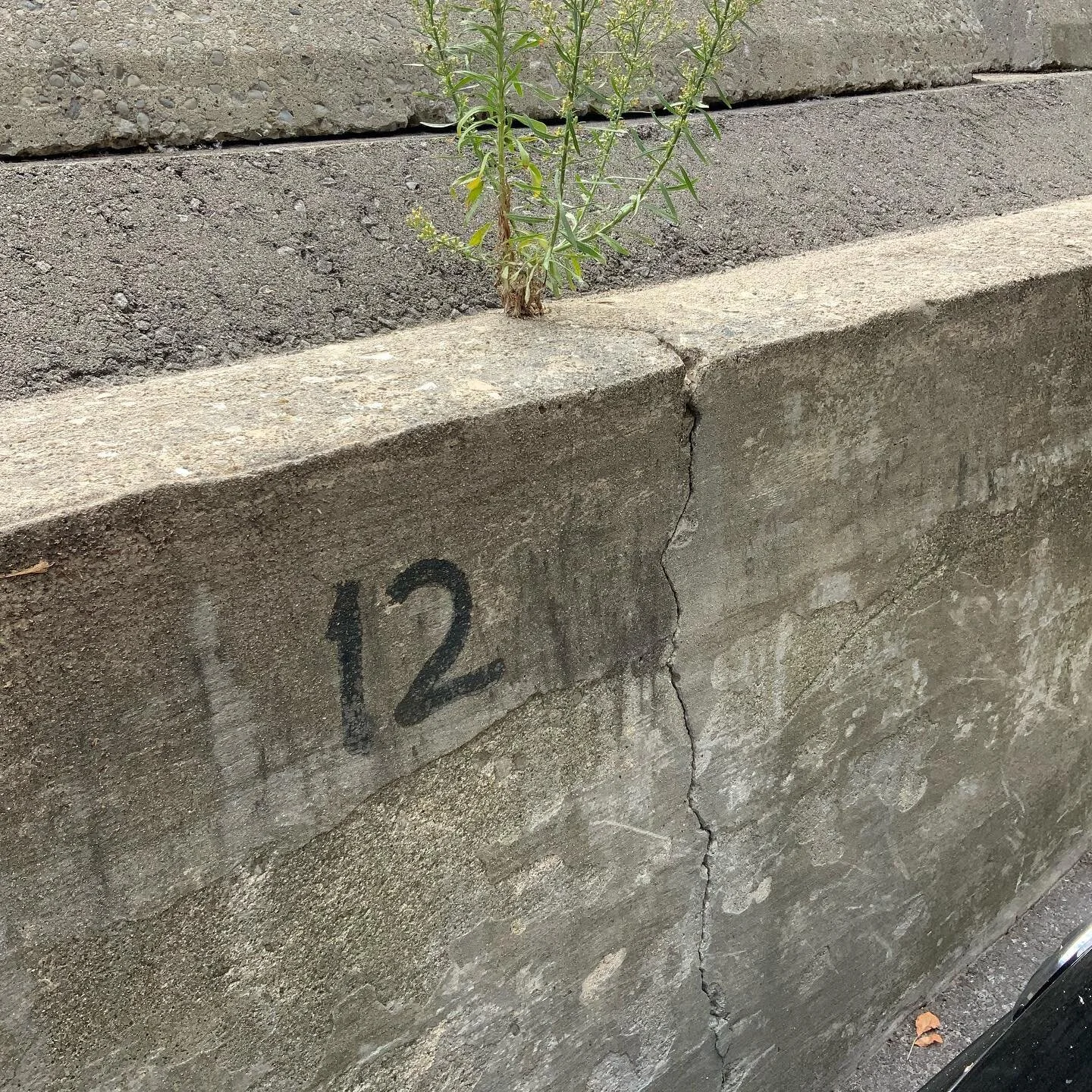 Today's number is 12.
⚪️
⚪️
⚪️
⚪️
⚪️
#todaysnumber #numbertwelve #12 #throughthecracks