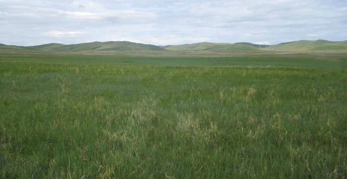 The idyllic vast steppe of Mongolia