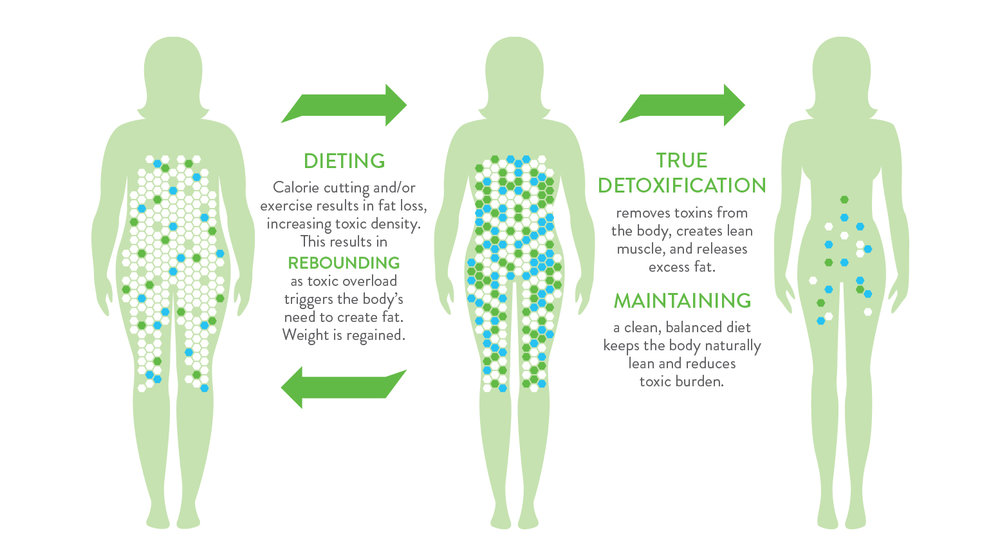 Detoxing Uncovered — Honey&Roots