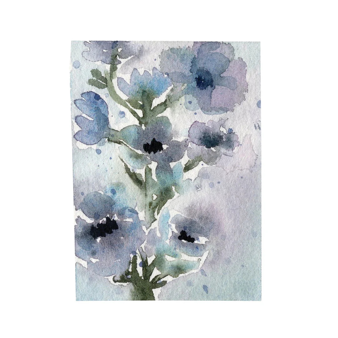 Forget Me Nots