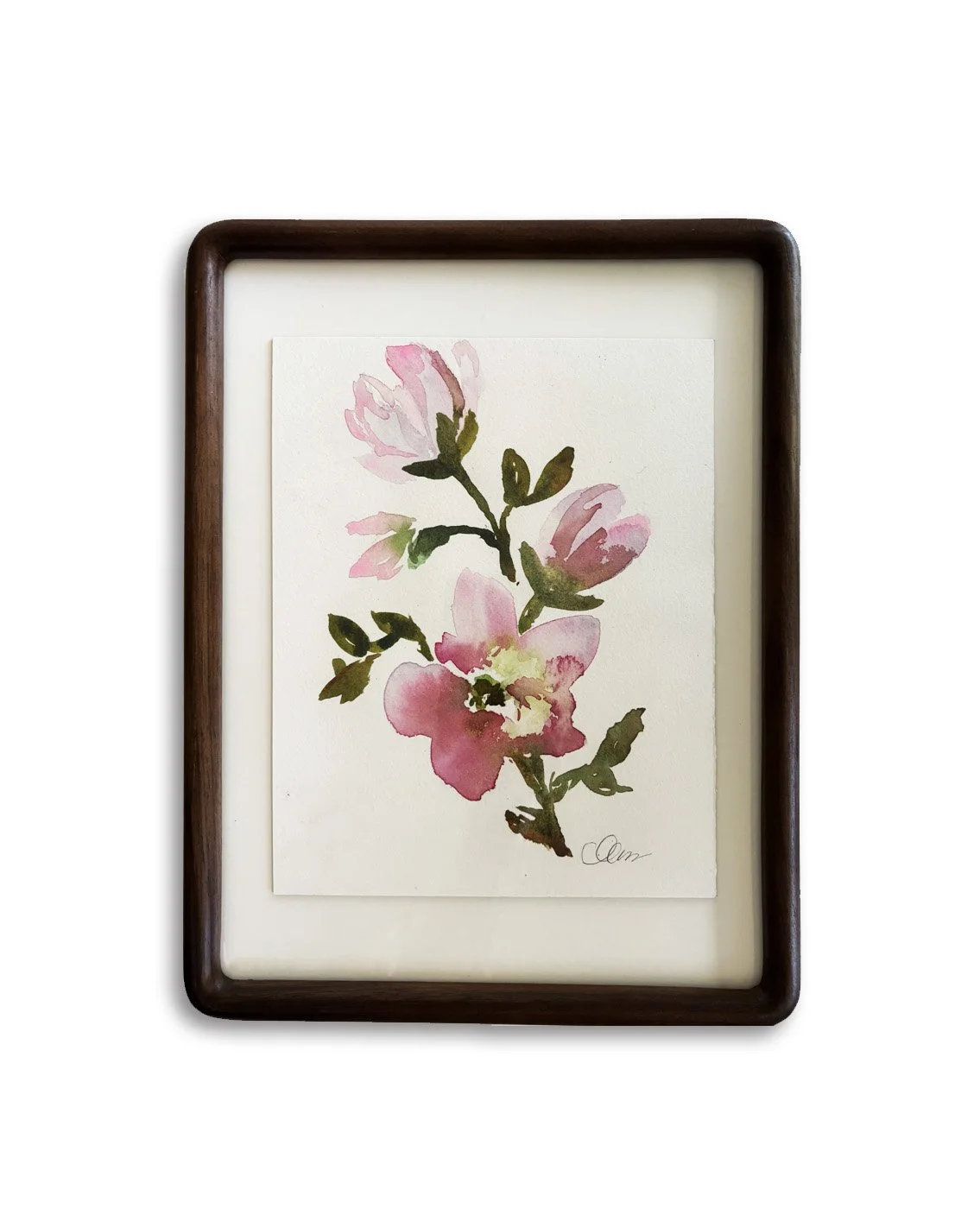 Magnolias