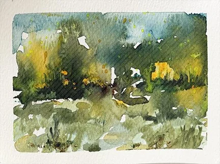 Meadow