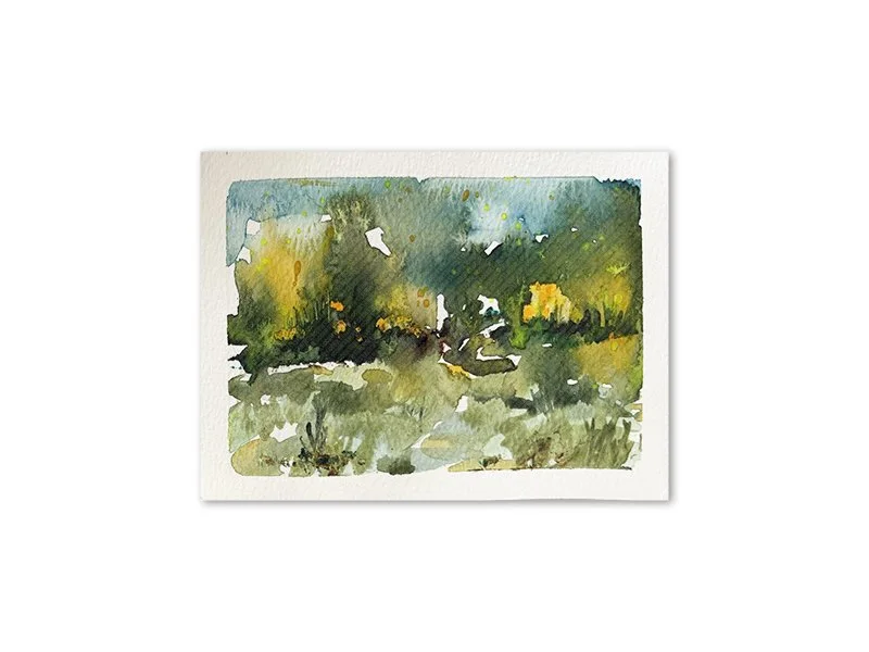 Meadow