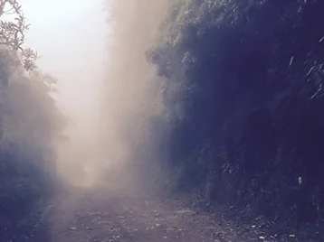 An authentic life requires a constant exposure to risk