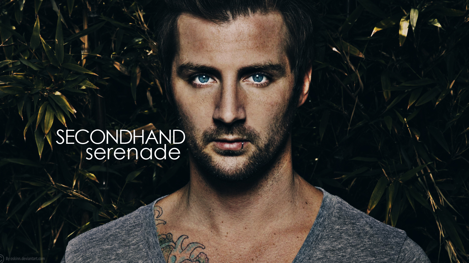 Secondhand Serenade (Producer, Mixer)