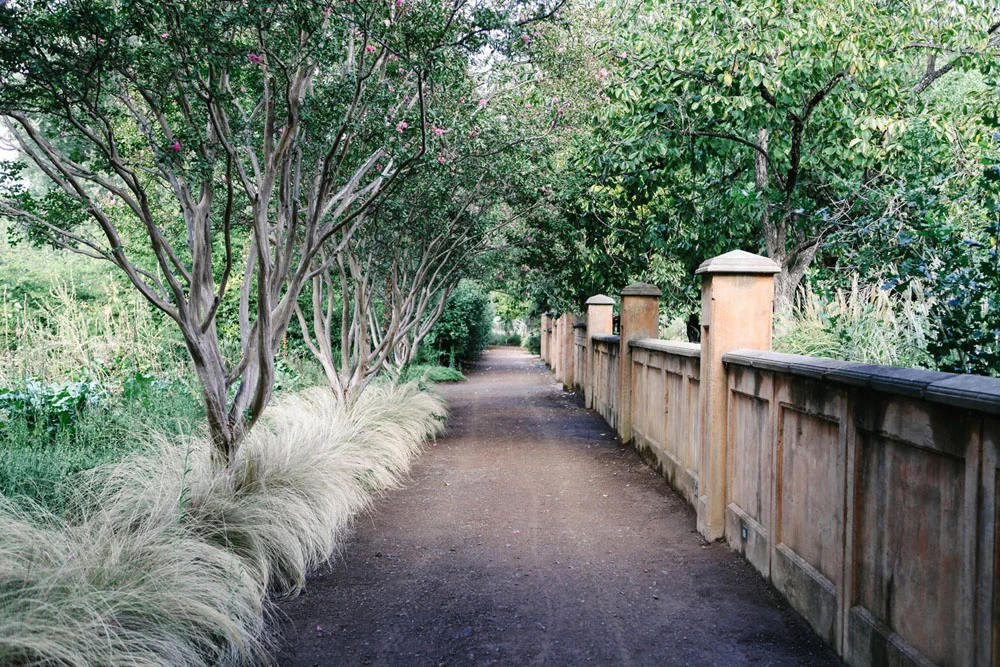 campovida | jessie webster