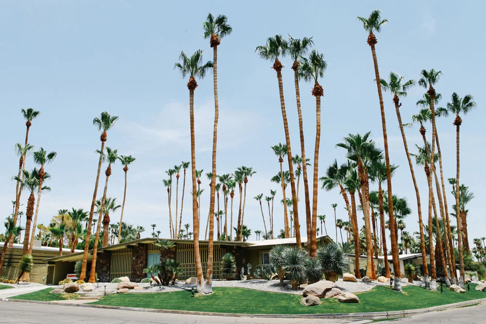 palm springs | jessie webster
