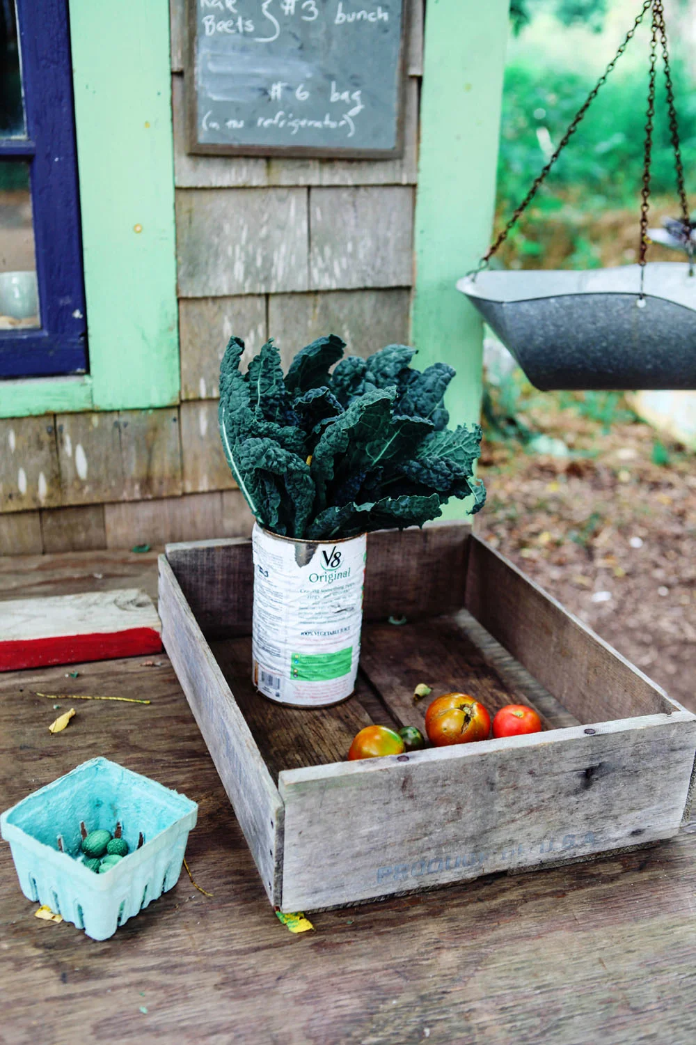 martha's vineyard | jessie webster