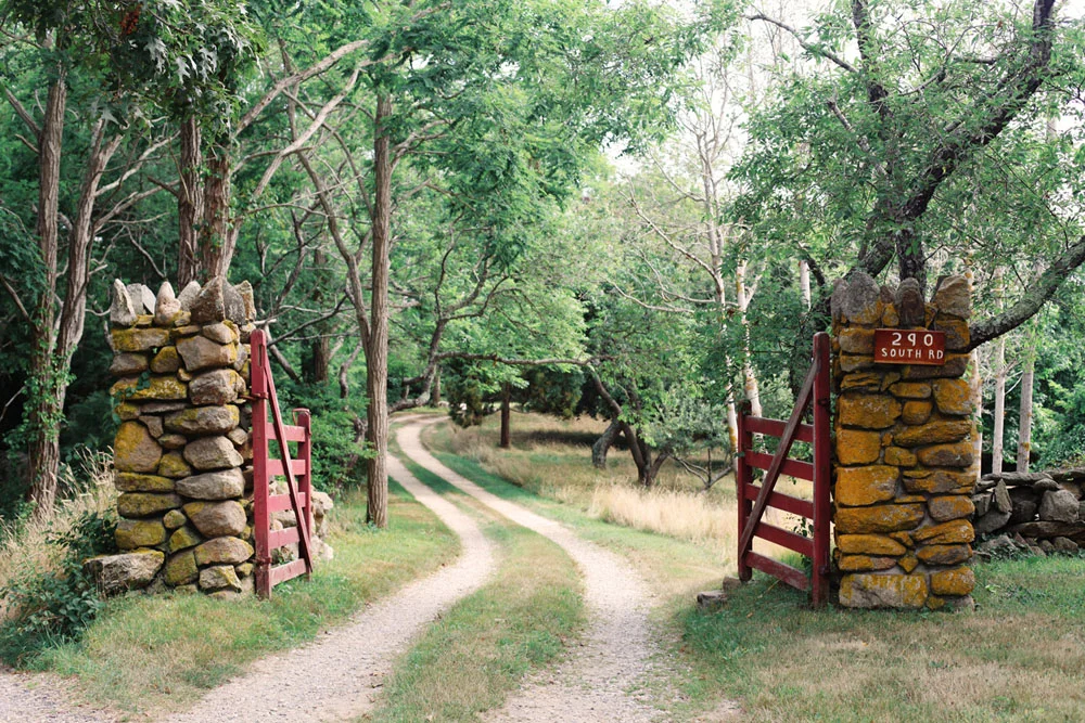 martha's vineyard | jessie webster