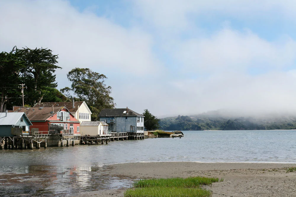 marin county | jessie webster