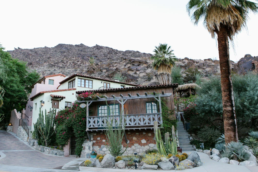 palm springs | jessie webster