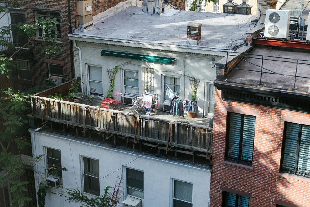 nyc | jessie webster
