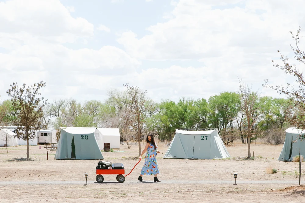 el cosmico | jessie webster