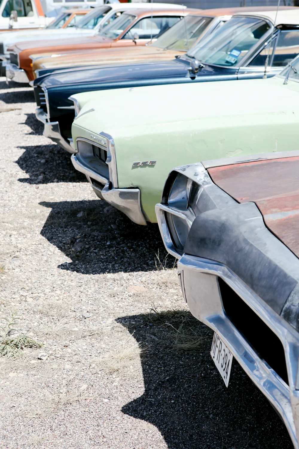 marfa | jessie webster