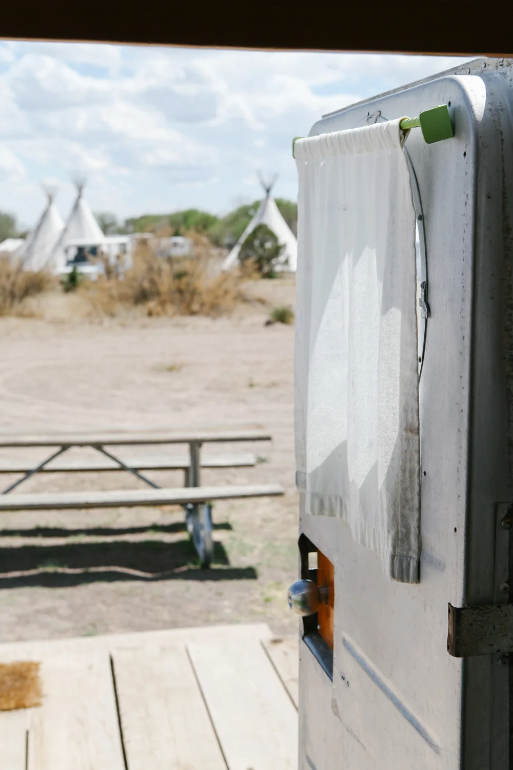 el cosmico | jessie webster