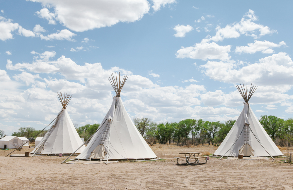 el cosmico | jessie webster