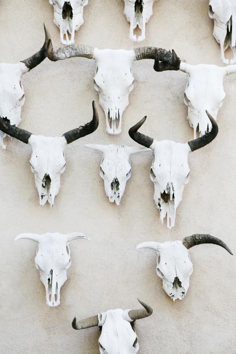 marfa | jessie webster