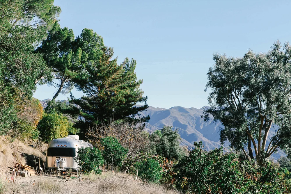 ojai | jessie webster
