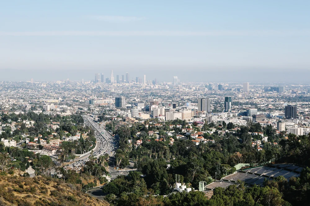 los angeles | jessie webster