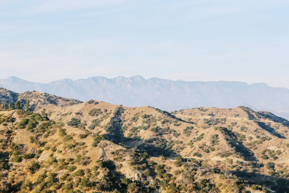 los angeles | jessie webster
